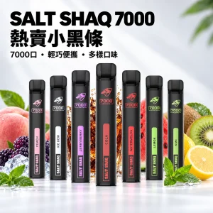 鯊克 SALT SHAQ 小黑條 拋棄式電子煙｜7000口 500mAh 1.0Ω霧化芯【19種口味】
